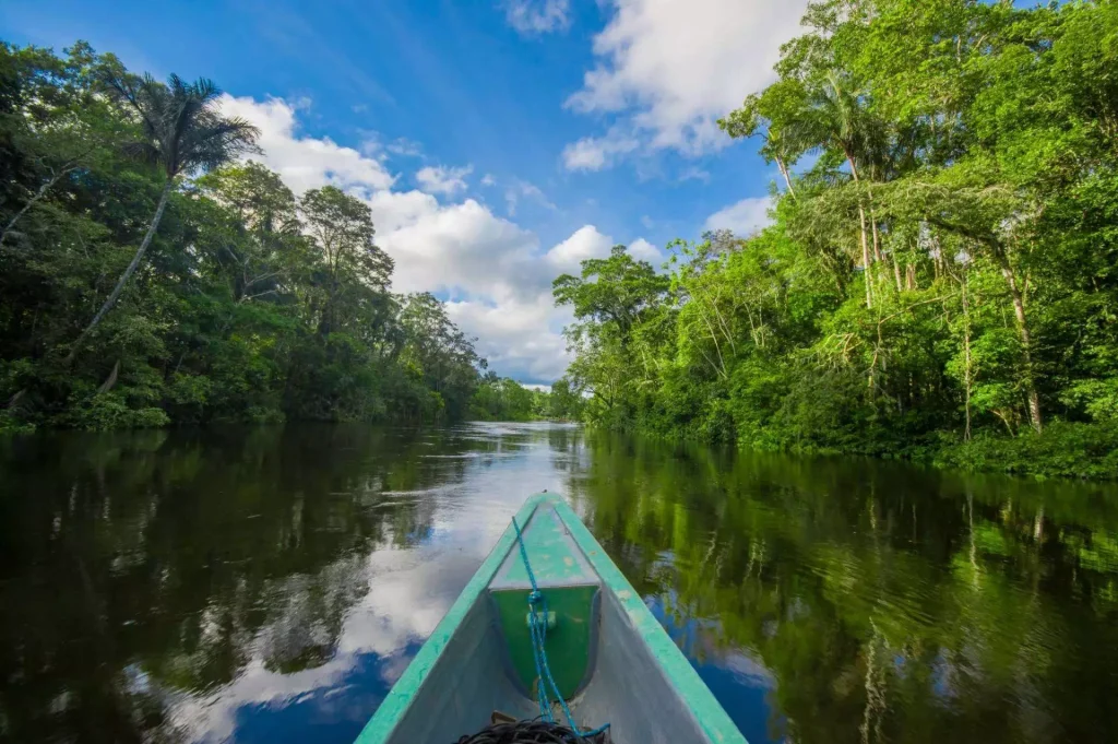 Eco-Tourism in the Amazon Rainforest
