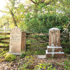 A captivating view of urban landscapes showcasing hidden histories and forgotten stories, inviting exploration and discovery.