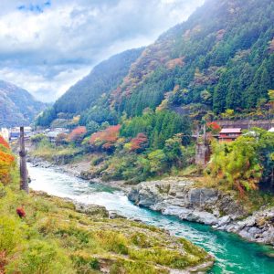 Vibrant autumn foliage on Shikoku Island, showcasing a serene landscape with trees in rich hues of orange and red.