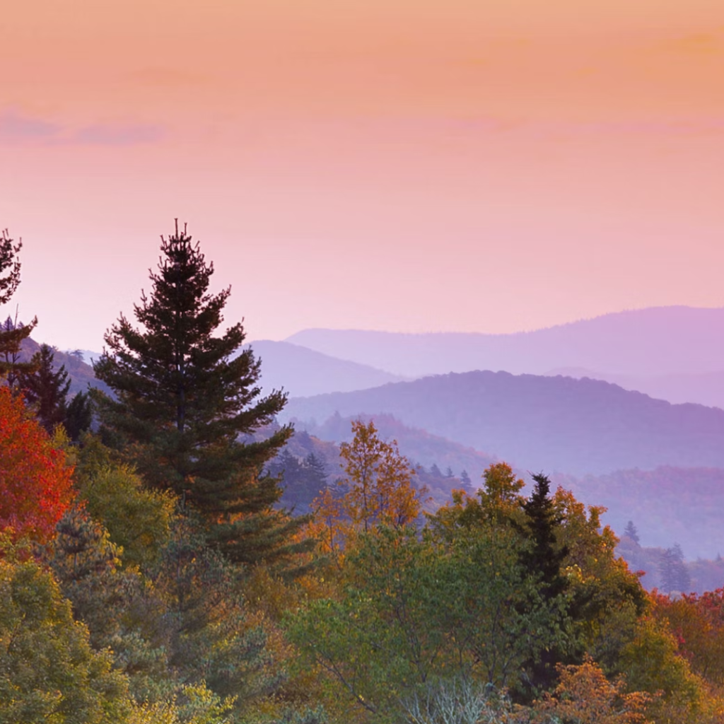 A scenic view of a traveler exploring diverse landscapes in America, capturing the essence of adventure and discovery.