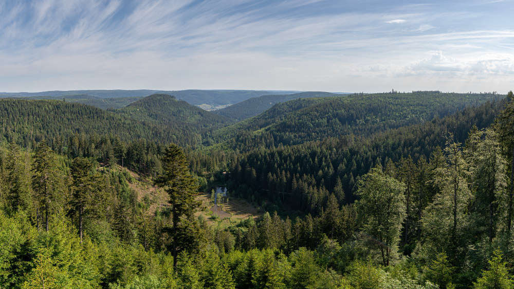 Landscape view spot of the black forest in germany