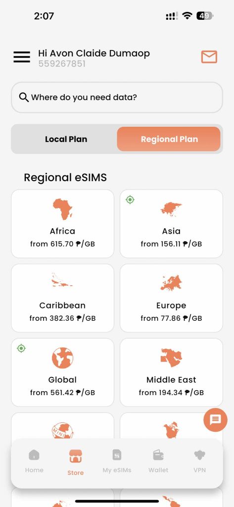 Screenshot for the regional plan, highlighting BNESIM application.