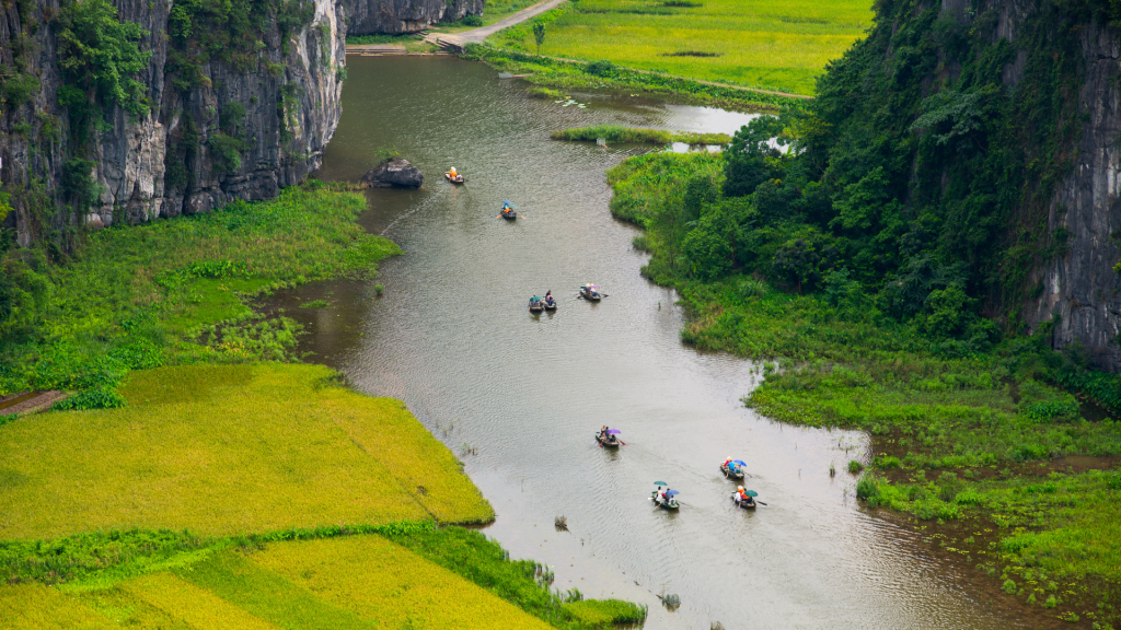 Boat ride in Ninh Binh passing rice field