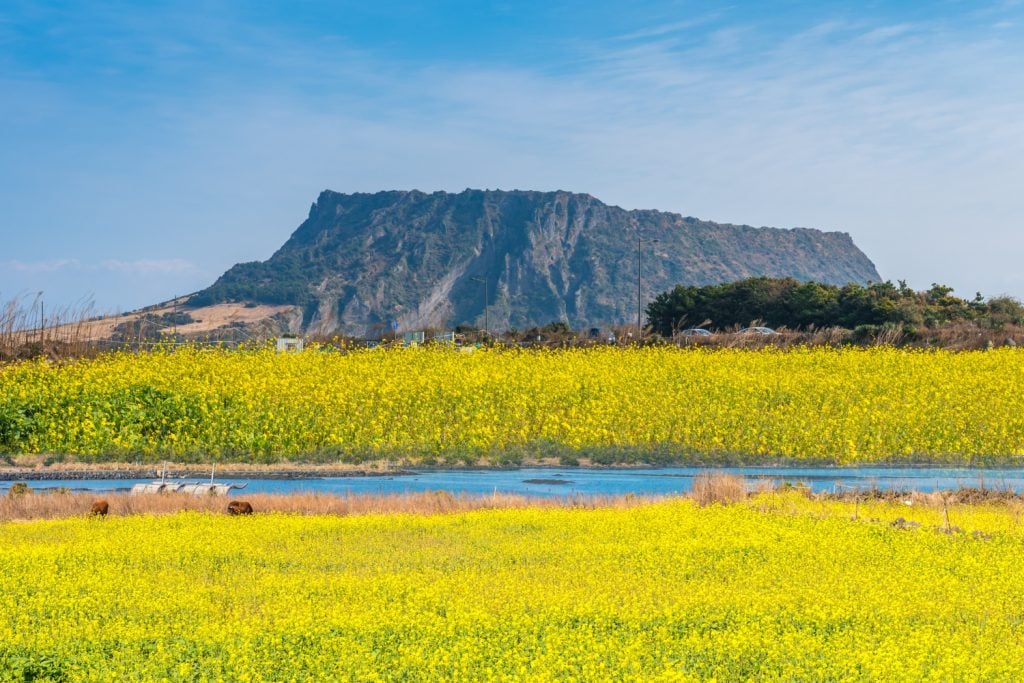 Jeju, South Korea