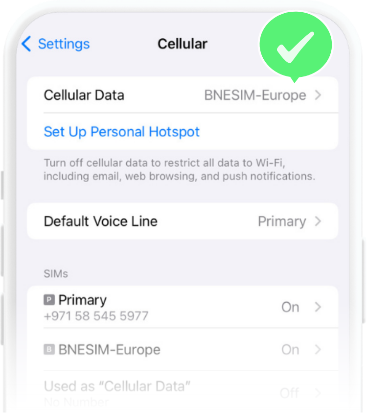 install and enable esim g1