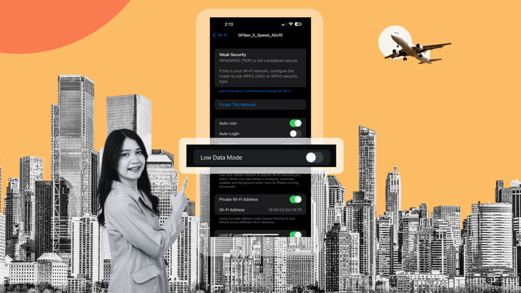 a traveler is curious about what low data mode is