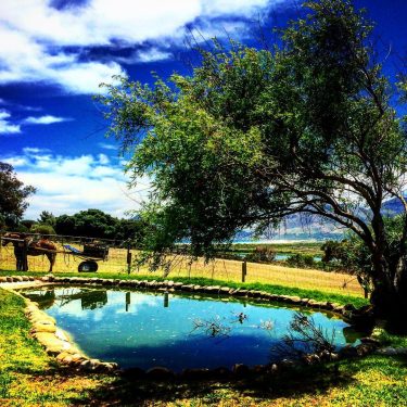 PARADISE