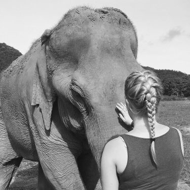 Favourite place in the world!️ #bnesimppl #ElephantNaturePark #LekChailert