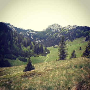 #nature