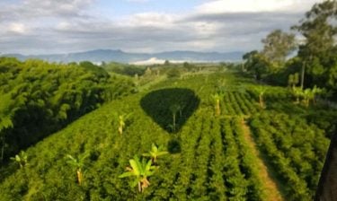 La serenidad interior es la fuerza de la vida. @despertando_consciencia @globoscolombia