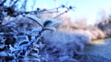 Good morning i’m the frost @discovertheworldwithoureyes #cold #coffeetime #breakfasttime #wakeup #colorful #morning #polishtrucker #poland…