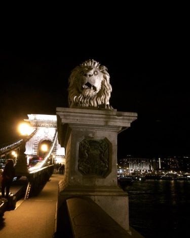 #chainbridge #budapest #lánchíd #europe #hungary???????? #budapestcity #budapest???????? #budapesthungary #budapest_hungary #budapestagram #budapest_is_awesome #budapestravel #hungary #匈牙利…