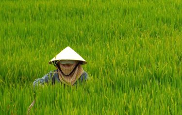 Just another day in the office. Hoi An, Vietnam???????? . . . . #travelblogger…