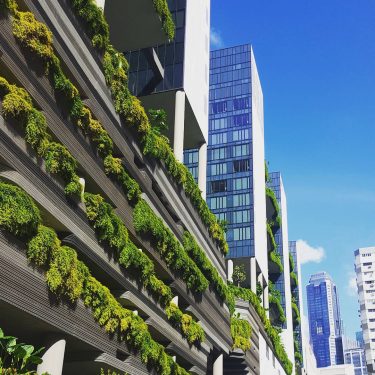 #singapure #culture #city #happy #travel #reisen #holiday #enjoyyourlife #architecturephotography #architectureporn #greenarchitecture #architecture #architecturephotography #city…