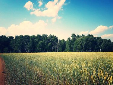 Beautiful #naturephotography #bnesimppl
