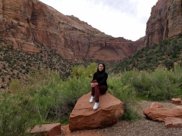 #zion #nationalpark #usa #travel #travelgram #instatravel #wanderlust #bestdestinations #bestplace #wonderful #amazing #jnwjourney #bnesimppl