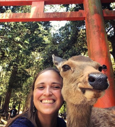 Me: “Smile Bambi!”, Bambi: “Sure, like this?” at Nara Park ???? #photooftheday #selfie #travel…