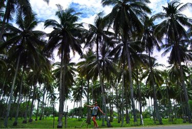 100000 palmeras! #philippines???????? #backpacker #mochileros #ambulantesmundi #instatravelling #travellingram #viajeros #instapassport #backpackerslife #mochilerostyle #travelblog #backpacking…
