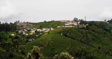 Munnar #nature_seekers #travelgram #naturelovers #natureshooters #nature_up_close #nature_hub #naturephotography #naturein_focus #natgeotravel #natgeoyourshot #thephotosociety #reimaginednature #clickstogallery&hellip;