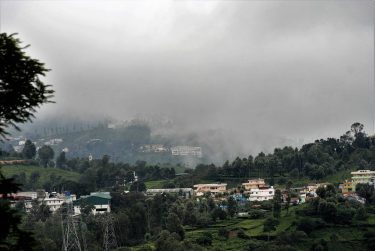 Munnar #nature_seekers #travelgram #naturelovers #natureshooters #nature_up_close #nature_hub #naturephotography #naturein_focus #natgeotravel #natgeoyourshot #thephotosociety #reimaginednature #clickstogallery…