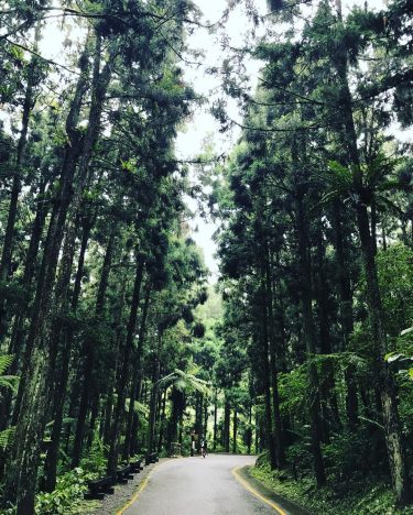 #forest #nantou #natural #taiwan???????? #南投 #溪頭 #backpackers #adventuretime #mountains #hiking #bpintaiwan #taiwan_dream #taiwantravel #taiwanese…