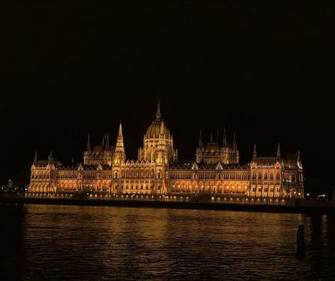 #hungary #budapest #vscocam #vsco #night #lights #parlament #bnesimppl