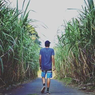 ” Fanm san tjenbwa, sé an patjé lonyon san founiti ” #holidays #canneasucre #reunionisland…