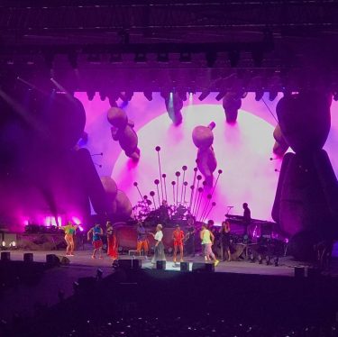Pink in What a amazing show! #pink #waldbühne #berlin #pink2017 #konzert #concert #show #music…