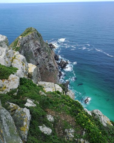 The tip of Africa where the two oceans meet what a beauty #africa #southafrica…