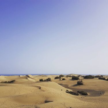 Und schon da vorne küsst das Salzwasser den Sand! #grancanaria #spain #canaryislands #maspalomas #sun…
