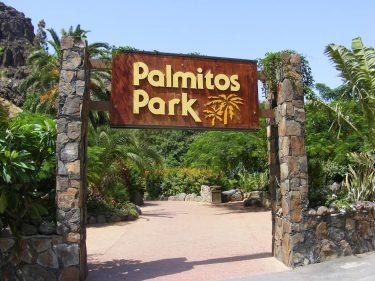 Lets go to the zoo #grancanaria #spain #canaryislands #maspalomas #zoo #palmitospark #sun #sunny #cuöture…