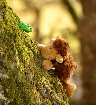 Today we had a nice warm and sunny So i went out for a&hellip;