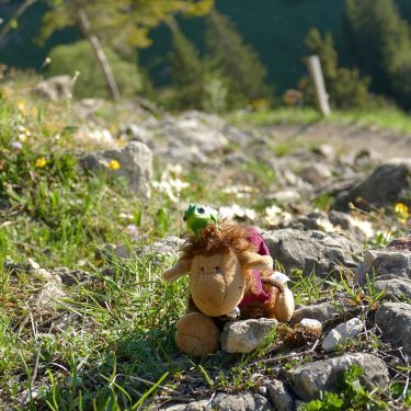On our hiking excursions we sure have some rough and climbing parts Pedro takes…