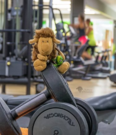 After a long time very little training, i am back to my regular schedule…