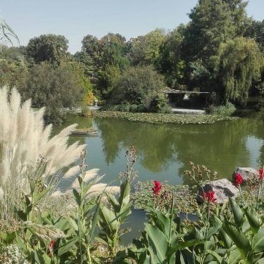 گُل اگر خار نداشت دل اگر بی غم بود، اگر از بهرِ کبوتر…