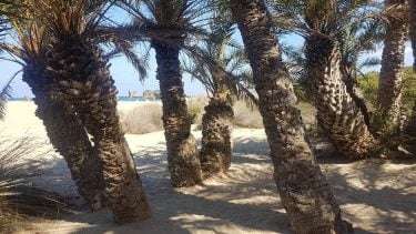#landscape #travelholic #amazing #nature #naturelover #naturephotography #earthpix #earth_pix #ourplanet #visitgreece #keepgoing #life #sea #beach…