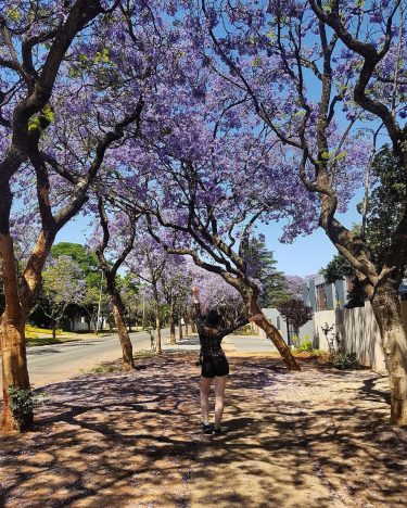 Rough #journey but absolutely worth it! I’m already in love with #southafrica and its…