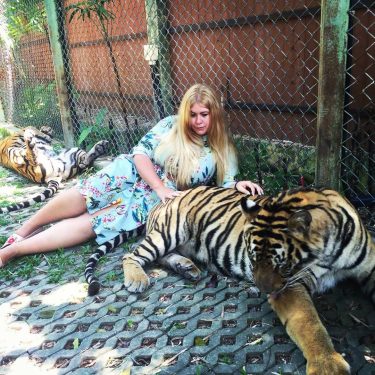 Say hello to my new little friend #tigerkingdom #puket #tiger #travelblogger #zarawoman #thailand #inspiration…