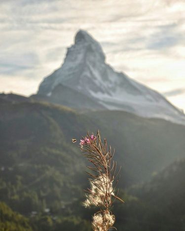 Have a magic beginning a new week! My view on this magic С добрым…