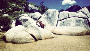 Day 12: Magnetic places and magnetic moments at Magnetic Island ️ . . .…