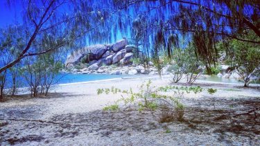 Discovering amazing places to get lost ️️???????? . . . . . . .…