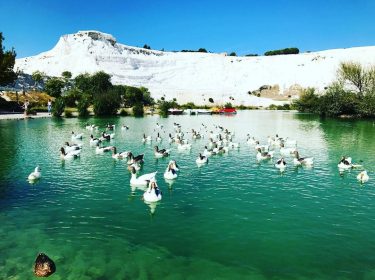 #pamukkale #pamukkaletranvanter #culture #muslim #bluemosque #turkey #土耳其 #棉花堡 #帕慕卡雷 #airbnbturkey #travel #backpackers #adventuretime #背包客…