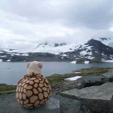 One small step for man,one giant leap for #fortun #norway #fortunnorway #nordkappexpedition #travellingherbert #turtoise…