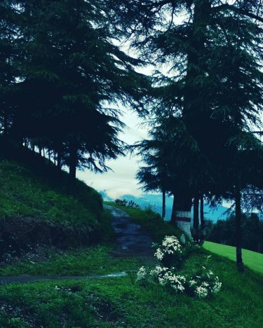 “some beautiful paths can’t be discovered without getting lost” #erolozan #goodreads #good_quotes #instagramers #instagood…