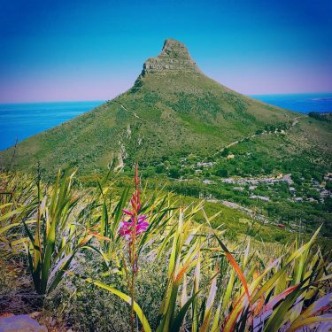 I don’t know any other city where nature at its best and fun city…