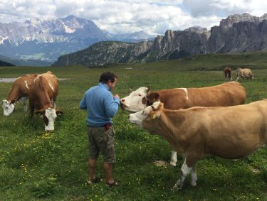 Last Summer in Dolomites #bnesimppl