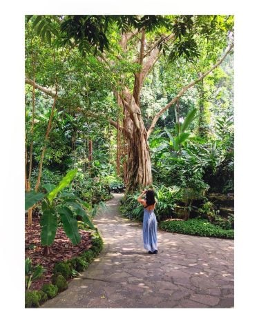 Apparently, last Wednesday I was in a tropical wonderland taking photos. #stillrecovering. I have…