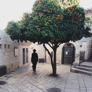 Jerusalem #oldcity #jerusalem #orangetree #jewish #nature #naturelover #happy #beauty #sun #monday #joy #smallstreets #rocks…