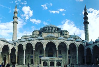 #mosque #culture #muslim #藍色清真寺 #süleymaniye #suleymaniyemosque #Istanbul #turkey #土耳其 #伊斯坦堡 #airbnbturkey #travel #backpackers #adventuretime…