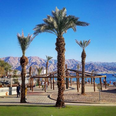 The endless sunshine in Eilat is pure joy after all those dark, sad Hamburg…